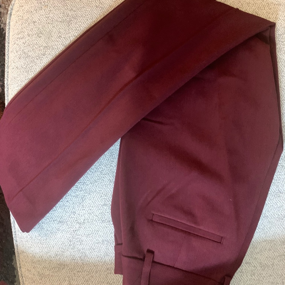 Express Dress Pants